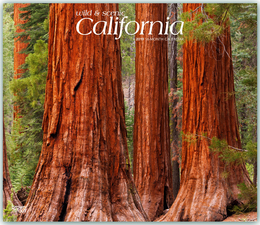 California - Wild & Scenic - Kalifornien 2019 - 16-Monatskalender mit freier TravelDays-App