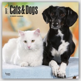 Cats & Dogs 2017 - Cover