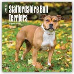Staffordshire Bull Terriers 2018