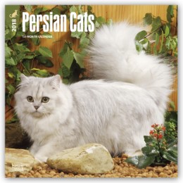 Persian Cats - Perserkatzen 2018 - 18-Monatskalender