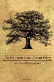 The Fourteen Lives of Matt Perry - Cover