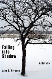Falling into Shadow - Cover