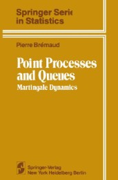 Point Processes and Queues