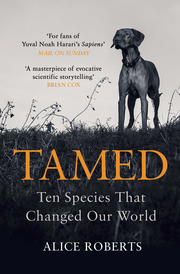 Tamed - Cover
