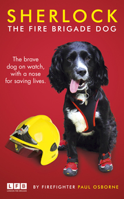 Sherlock: The Fire Brigade Dog