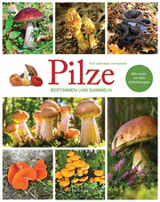 Pilze - Bestimmen und Sammeln