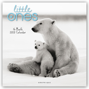 Little Ones - Tierkinder 2020 - 16-Monatskalender