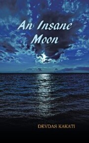 An Insane Moon - Cover