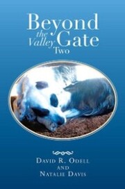 Beyond the Valley Gate Two - Cover