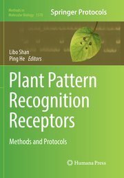 Plant Pattern Recognition Receptors