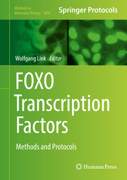 FOXO Transcription Factors