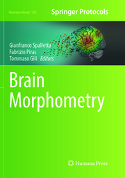 Brain Morphometry