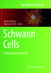 Schwann Cells - Cover