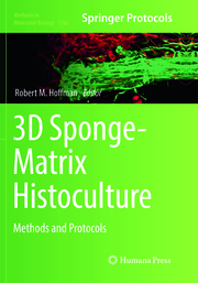 3D Sponge-Matrix Histoculture