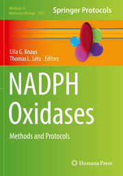 NADPH Oxidases