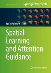 Spatial Learning and Attention Guidance - Cover