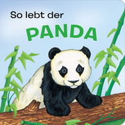 Tierkindergeschichten - So lebt der Panda - Pappbilderbuch mit farbigen Illustrationen für Kinder ab 18 Monaten