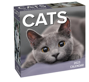 Cats - Katzen - Kalender 2023