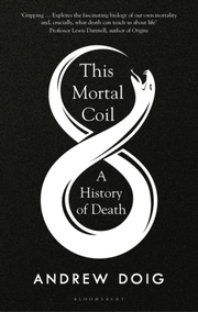 This Mortal Coil - Cover