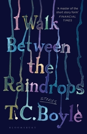 I Walk Between the Raindrops - Cover