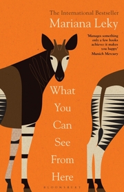 What You Can See From Here - Cover