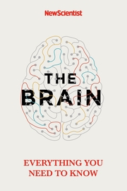 The Brain - Cover