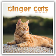 Ginger Cats - Rothaarige Katzen 2022