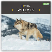 National Geographic: Wolves - Wölfe 2022