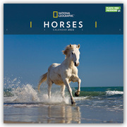 National Geographic: Horses - Pferde 2022 - Cover