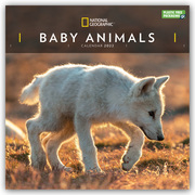 National Geographic: Baby Animals - Tierkinder 2022 - Cover
