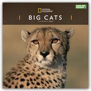 National Geographic: Big Cats - Raubkatzen 2022
