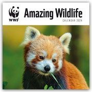 WWF Amazing Wildlife 2024
