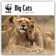 WWF Big Cats 2024