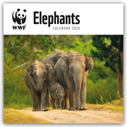 WWF Elephants 2024