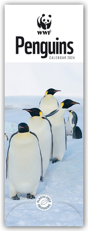 WWF Penguins 2024