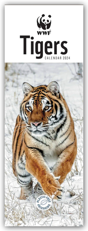 WWF Tigers 2024
