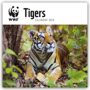 WWF Tigers - Tiger 2024