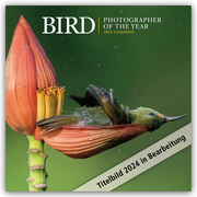 Bird - Photographer of the Year - Vögel - Fotografen des Jahres 2024 - Cover
