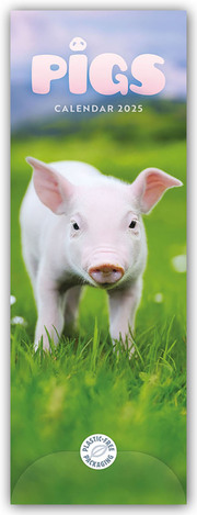 Pigs - Ferkel - Schweinchen 2025 - Slimline-Kalender - Cover