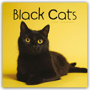 Black Cats - Schwarze Katzen 2025 - Wand-Kalender - Cover