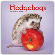 Hedgehogs - Igel 2025 - Wand-Kalender - Cover