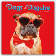 Dogs in Disguise - Verkleidete Hunde - Hunde in Verkleidung 2025 - Wand-Kalender
