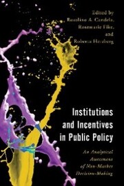 Institutions and Incentives in Public Policy - Cover