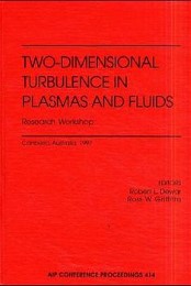 Two-Dimensional Turbulence in Plasmas and Fluids Research Workshop