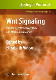 Wnt Signaling 1
