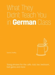 What They Didn't Teach You in German Class - Cover