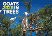 Goats in Trees 2020