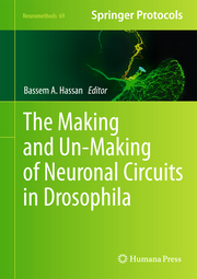 The Making and Un-Making of Neuronal Circuits in Drosophila