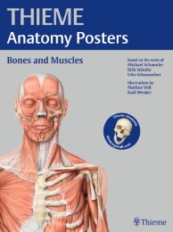 THIEME Anatomy Posters Bones and Muscles