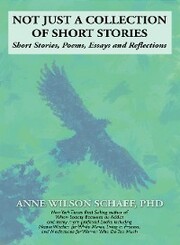 Not Just a Collection of Short Stories - Cover